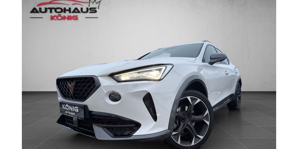 Cupra Formentor 123.600 km 20.490 &euro; Salzgitter 38259