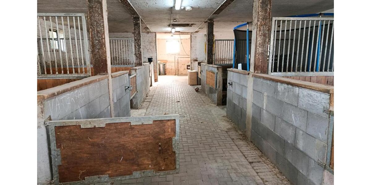 Einfamilienhaus Schladen-Werla Werla - 6 Zimmer, 250 m&sup2;, 470.000&euro; | Angebot:23410112