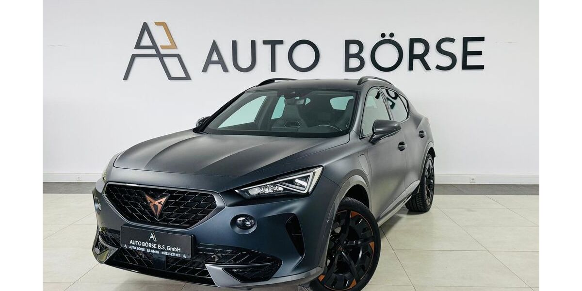 Cupra Formentor 101.730 km 21.890 &euro; Braunschweig 38114