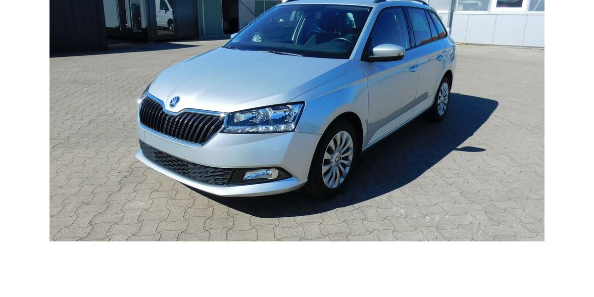 Skoda Fabia 1.0 Kombi Ambition TSI BMT Navi Klima 22.600 km 15.990 &euro; Vordorf 38533