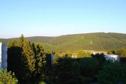 Wohnung Goslar OS Hahnenklee-Bockswiese - 3 Zimmer, 44 m&sup2;, 55.000&euro; | Angebot:26962141