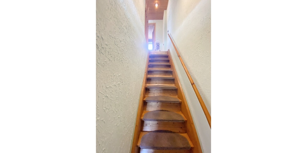 vollotine@gmx.de - 3- Braunschweig Rühme | Angebot:26056872