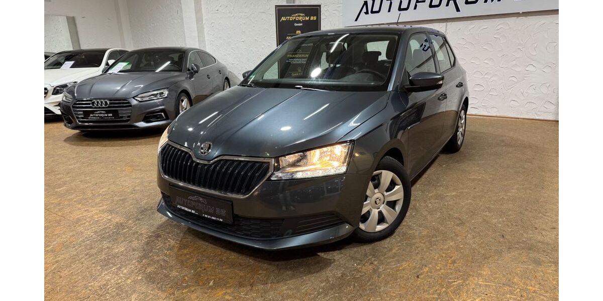 Skoda Fabia 53.728 km 12.590 &euro; Braunschweig Wenden 38110