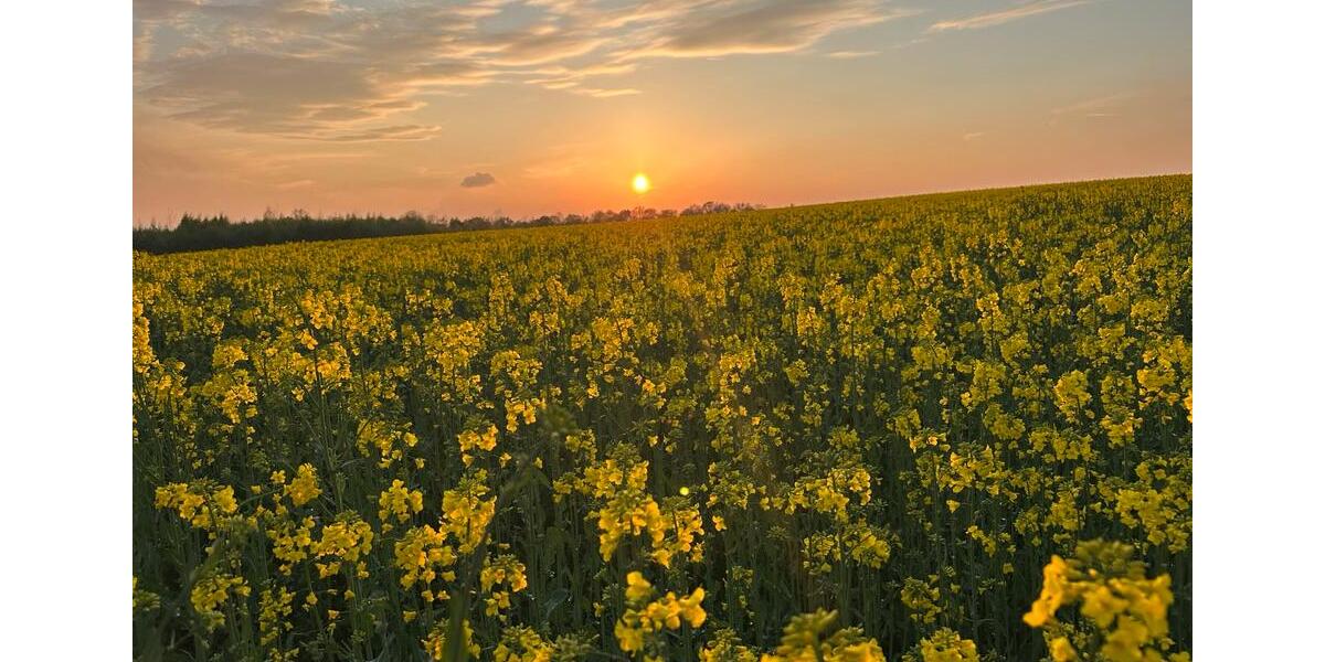 Etagenwohnung Wolfenbüttel - 3 Zimmer, 66 m&sup2;, 126.000&euro; | Angebot:25446154