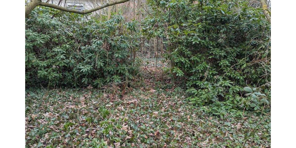 Doppelhaushälfte Salzgitter Bad - 6 Zimmer, 123 m&sup2;, 199.000&euro; | Angebot:25804040