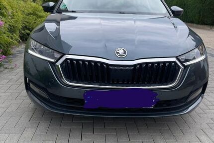 Skoda Octavia 55.000 km 17.800 &euro; Peine 31224