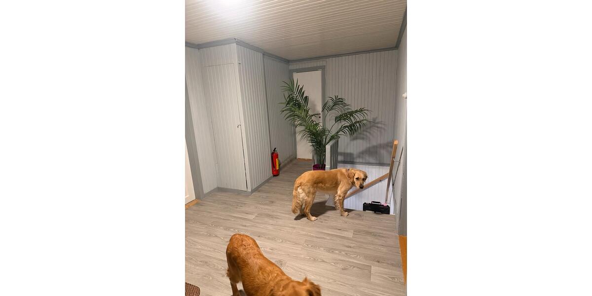 Einfamilienhaus Braunschweig Wabe-Schunter-Beberbach - 6 Zimmer, 298 m&sup2;, 157.000&euro; | Angebot:26068102