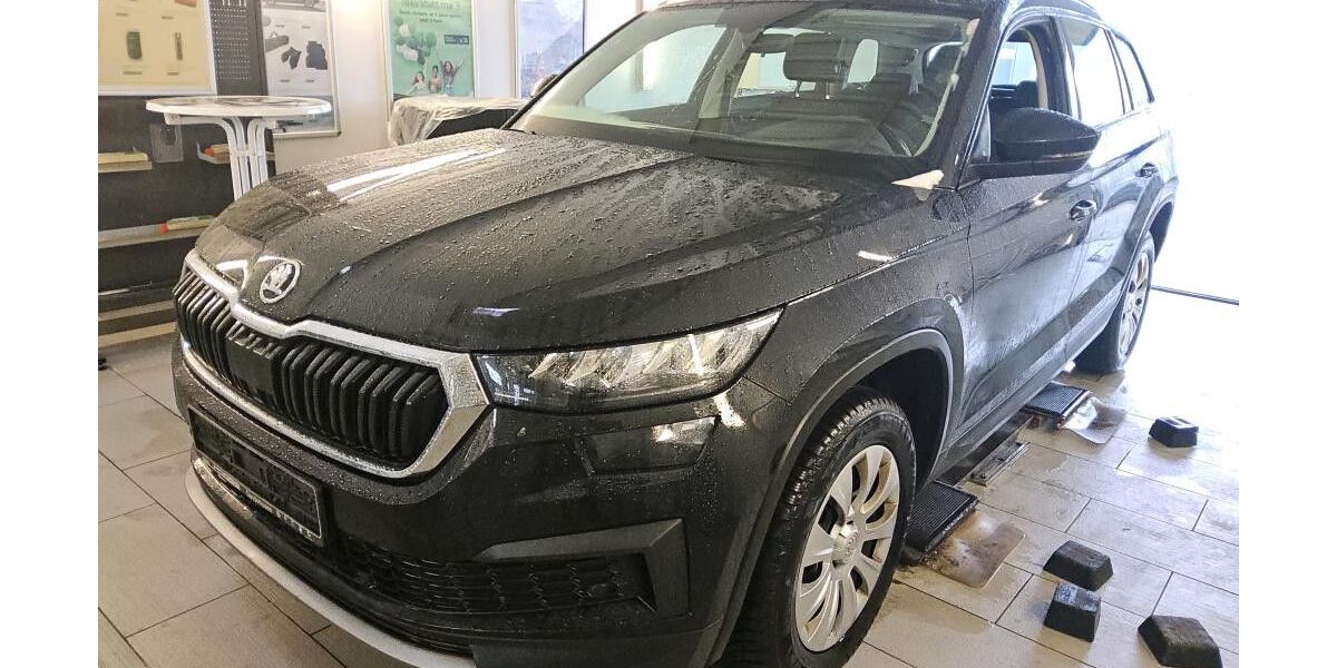 Skoda Kodiaq 212.500 km 19.490 &euro; Peine 31226
