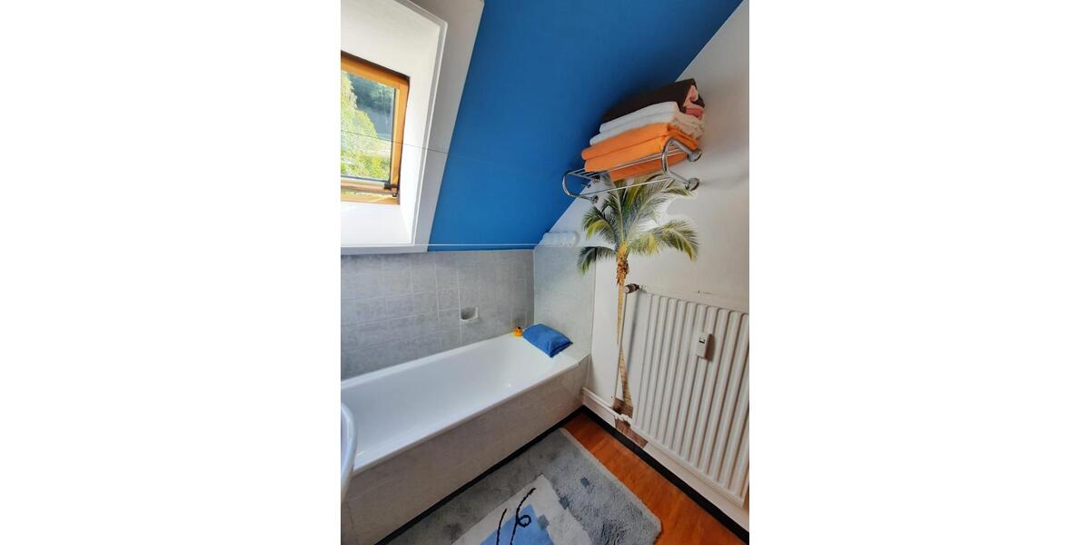Dachgeschoßwohnung Langelsheim - 2 Zimmer, 44 m&sup2;, 260&euro; | Angebot:26628107