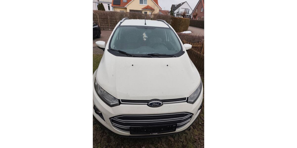 Ford EcoSport 162.500 km 6.250 &euro; Holle 31188