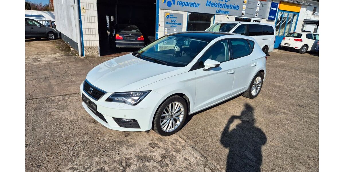 Seat Leon 174.989 km 8.995 &euro; Hillerse 38543