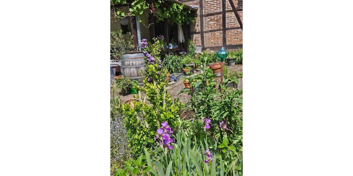 Bauernhaus, Landhaus Cremlingen Weddel - 1 Zimmer, 316 m&sup2;, 890.000&euro; | Angebot:25667755