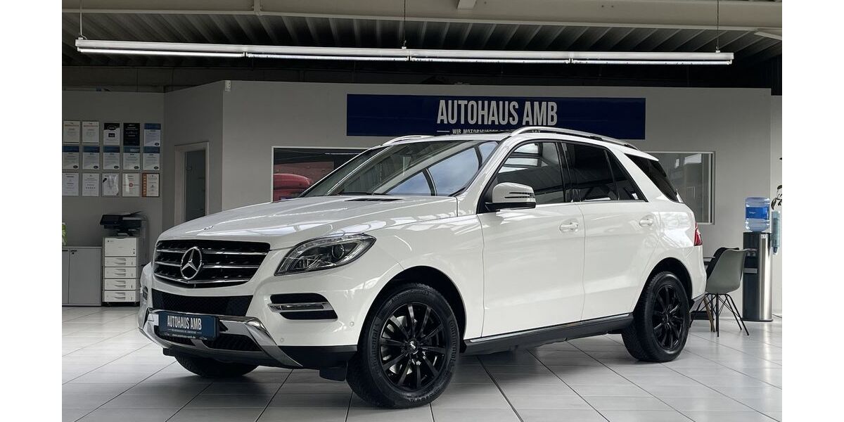 Mercedes-Benz ML 250 131.575 km 22.800 &euro; Braunschweig 38122
