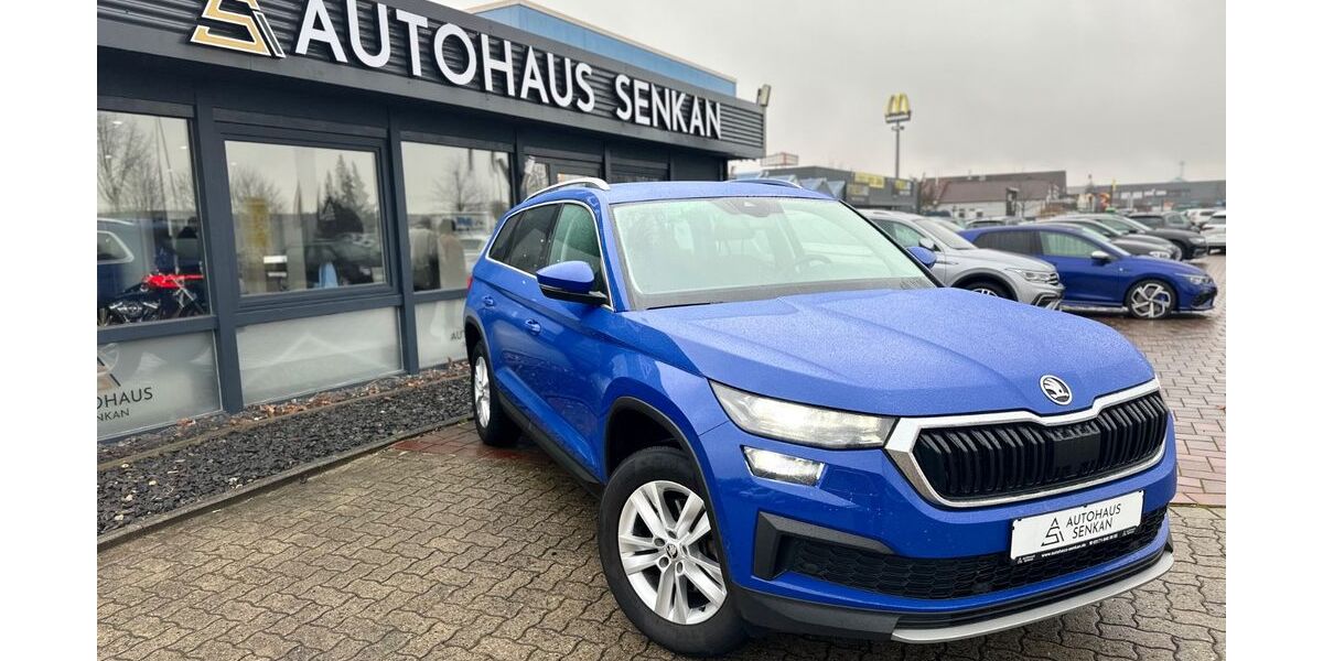 Skoda Kodiaq 140.000 km 21.490 &euro; Peine 31228