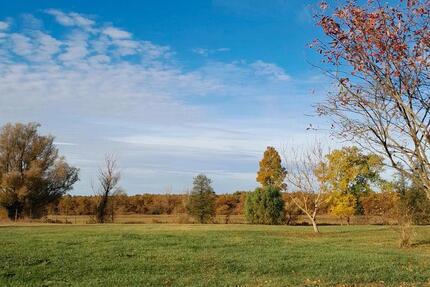 Haus Goslar Jürgenohl - 14 Zimmer, 350 m&sup2;, 575.000&euro; | Angebot:25393525