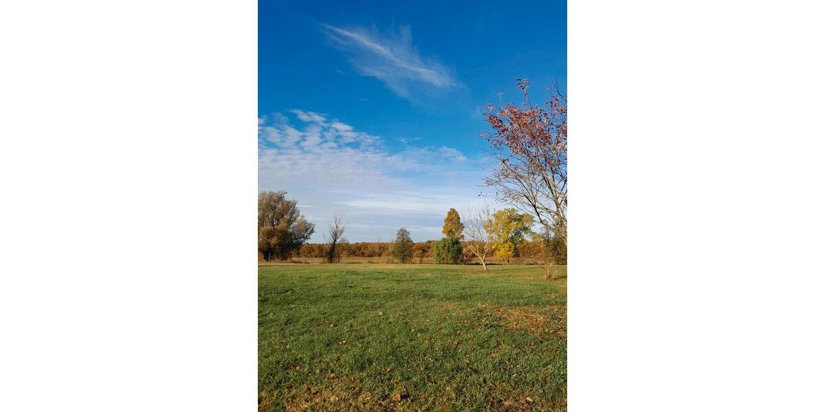 Villa Goslar Jürgenohl - 14 Zimmer, 350 m&sup2;, 575.000&euro; | Angebot:25393525