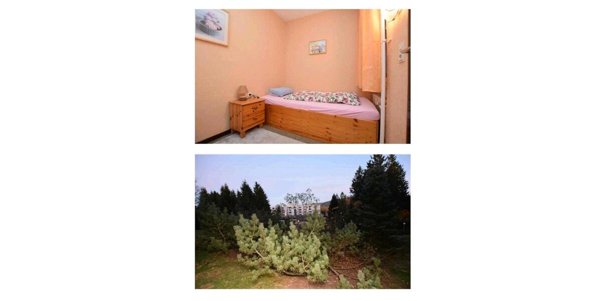 Erdgeschoßwohnung Goslar Immenrode - 2 Zimmer, 48 m&sup2;, 60.000&euro; | Angebot:26532093