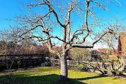 Haus Schwülper Rothemühle - 6 Zimmer, 210 m&sup2;, 425.000&euro; | Angebot:25732012