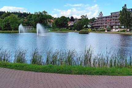 Wohnung Goslar OS Hahnenklee-Bockswiese - 2.5 Zimmer, 38 m&sup2;, 39.000&euro; | Angebot:22291156