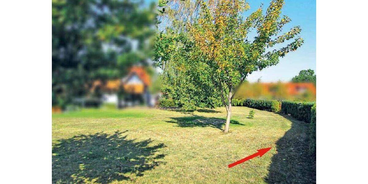 Grundstück Goslar Weddingen - 6.900&euro; | Angebot:25730497