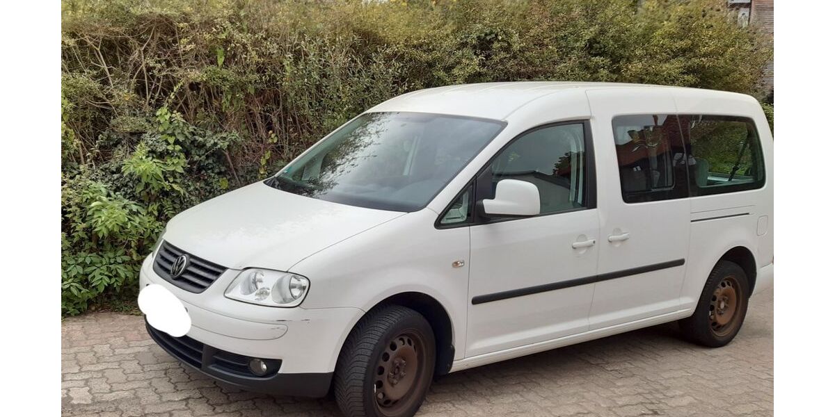 VW Caddy Maxi 278.000 km 6.690 &euro; Wolfenbüttel 38302