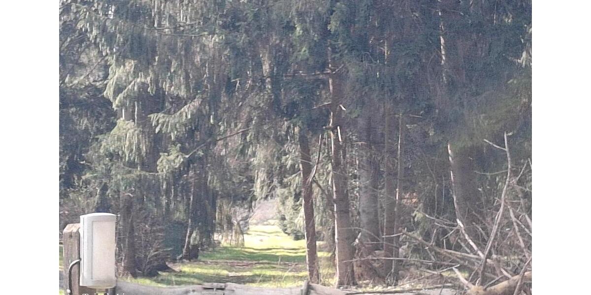 Einfamilienhaus Ilsede - 7 Zimmer, 130 m&sup2;, 250.000&euro; | Angebot:26132887