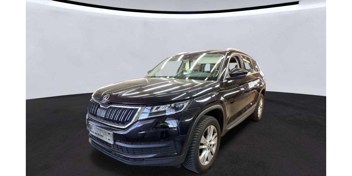 Skoda Kodiaq 207.000 km 14.990 &euro; Peine 31226