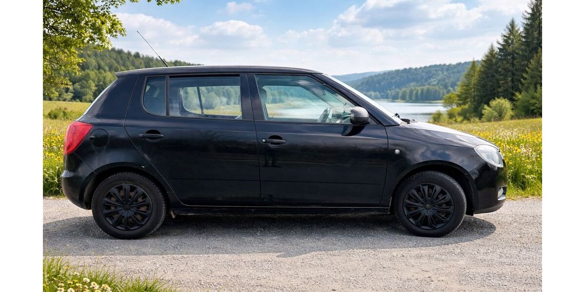 Skoda Fabia 170.000 km 1.100 &euro; Goslar 38642