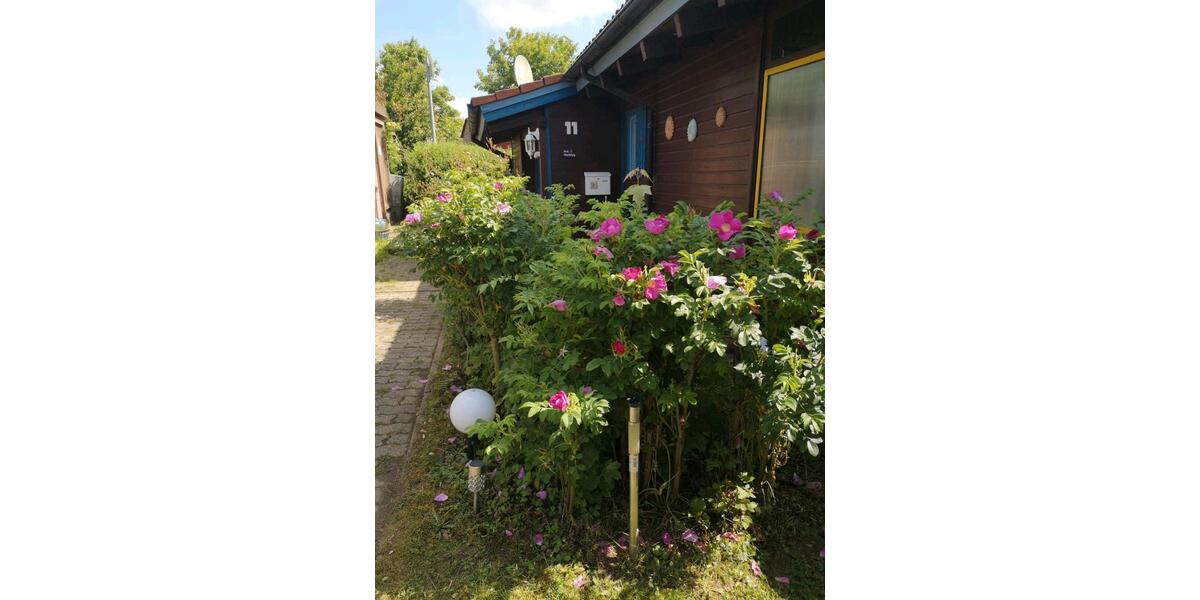 Einfamilienhaus Braunschweig Wabe-Schunter-Beberbach - 4 Zimmer, 80 m&sup2;, 100.000&euro; | Angebot:25445482