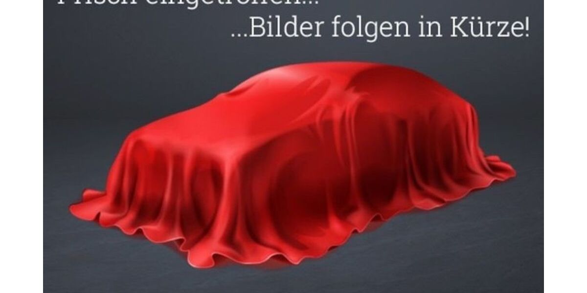 VW Golf 113.115 km 19.390 &euro; Braunschweig 38126