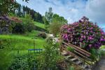 Einfamilienhaus Langelsheim - 7 Zimmer, 274 m&sup2;, 165.000&euro; | Angebot:26292952