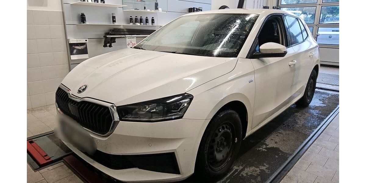 Skoda Fabia 191.830 km 10.990 &euro; Peine 31228