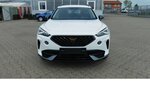 Cupra Formentor 1.5 TSI BMT Klima LED Alu Navi 29.900 km 21.990 &euro; Vordorf 38533