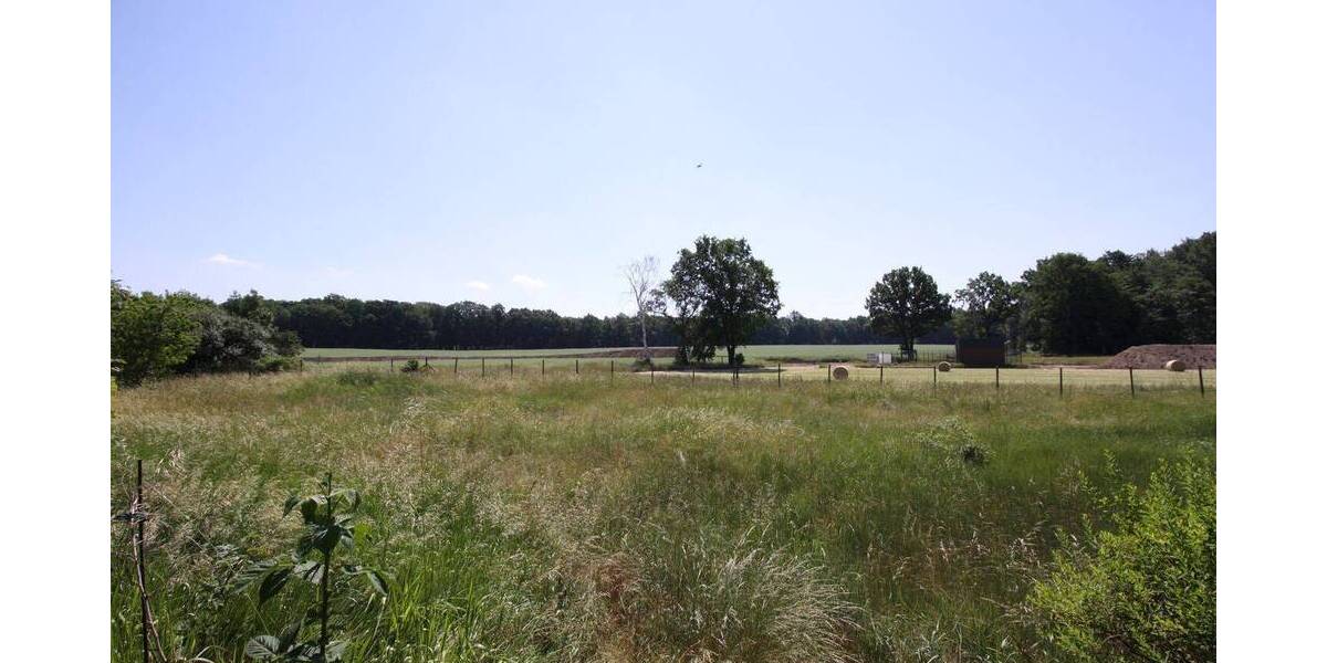 Mehrfamilienhaus, Wohnhaus Wasbüttel - 9 Zimmer, 309 m&sup2;, 799.000&euro; | Angebot:26273034