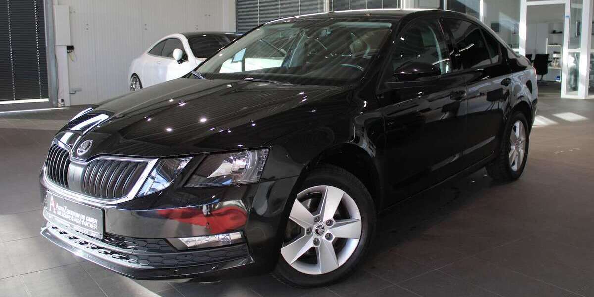 Skoda Octavia 131.720 km 14.390 &euro; Braunschweig 38126