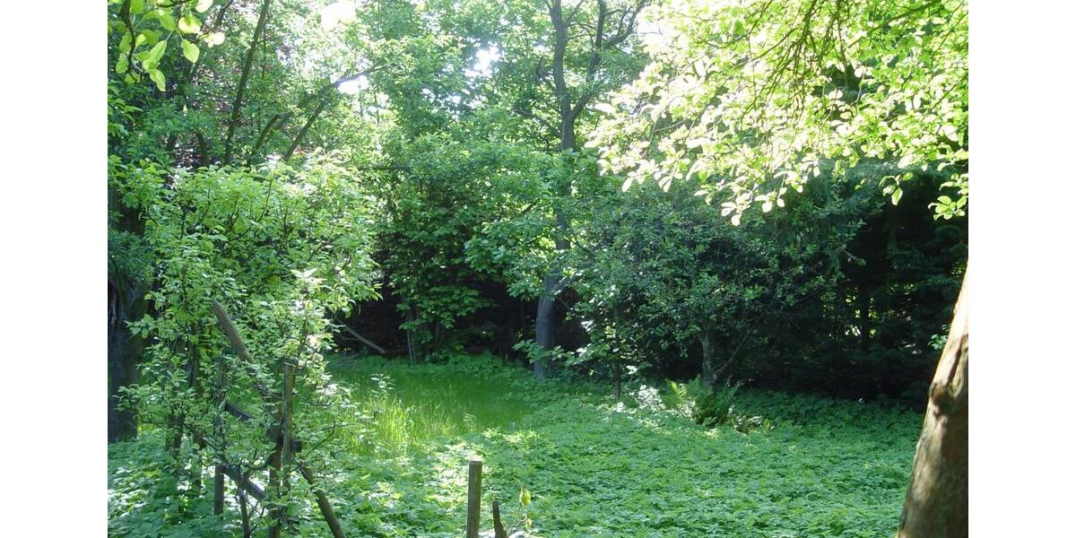 Villa Wolfenbüttel Ahlum - 14 Zimmer, 300 m&sup2;, 599.999&euro; | Angebot:25543151