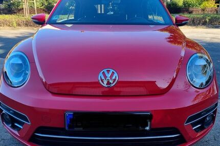 VW Beetle 70.500 km 18.300 &euro; Braunschweig 38124