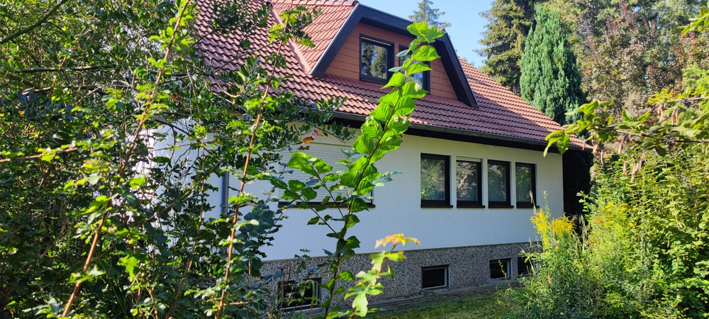 EFH mit Einliegerwohnung und Parkgrundstück in Schöningen - Einfamilienhaus Schöninngen | Angebot:24745629