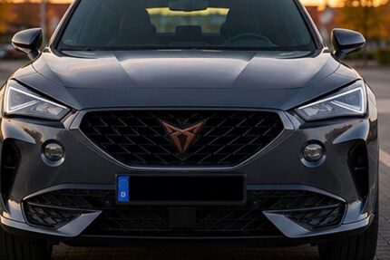Cupra Formentor 123.000 km 20.500 &euro; Braunschweig 38126
