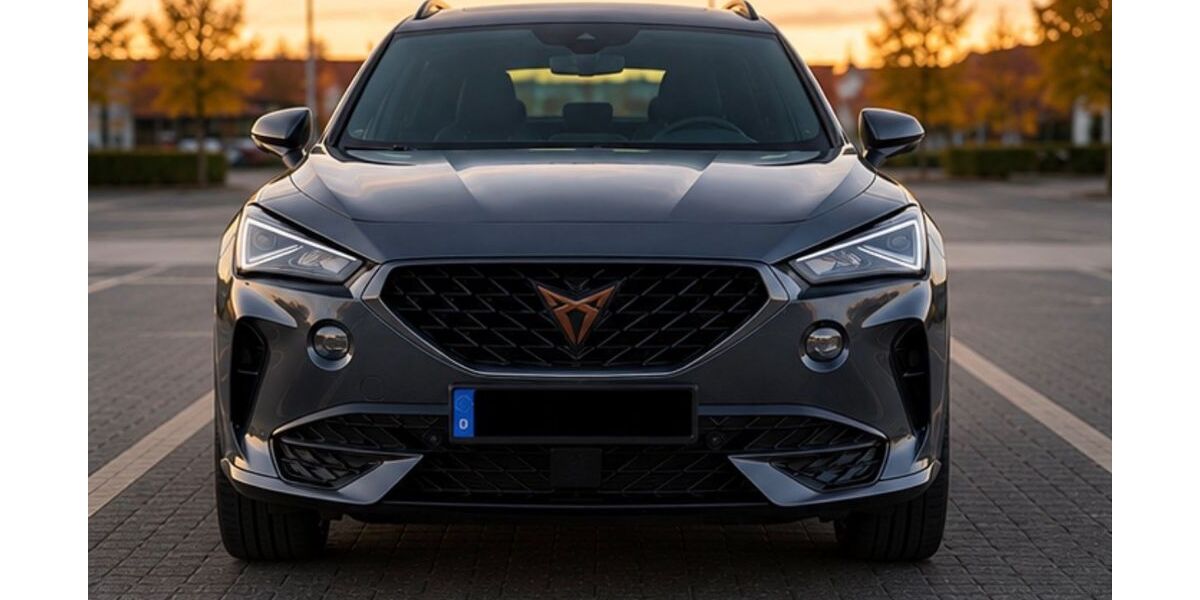 Cupra Formentor 123.000 km 20.500 &euro; Braunschweig 38126