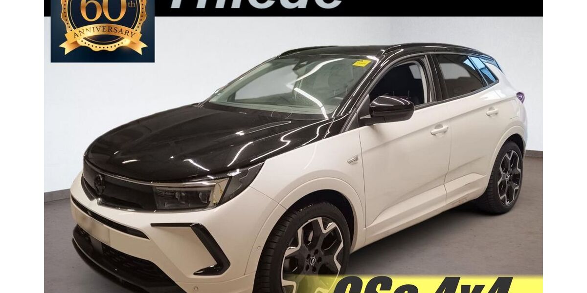 Opel Grandland (X) 46.900 km 23.300 &euro; Schöningen 38364