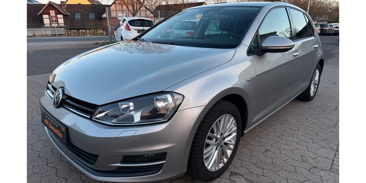 VW Golf 135.000 km 8.200 &euro; Lehre 38165