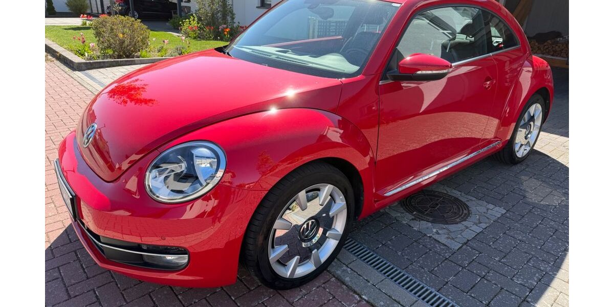 VW Beetle 51.000 km 11.200 &euro; Flechtorf 38165