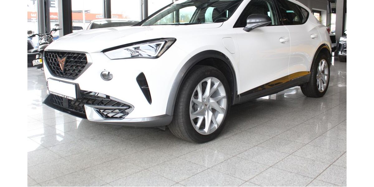 Cupra Formentor 29.336 km 22.370 &euro; Braunschweig 38112