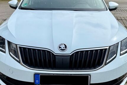 Skoda Octavia 176.105 km 11.000 &euro; Salzgitter 38228