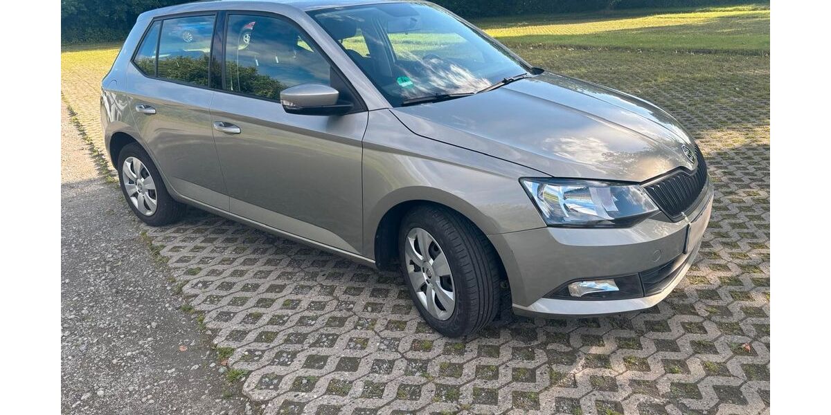 Skoda Fabia 124.000 km 5.750 &euro; Salzgitter 38226