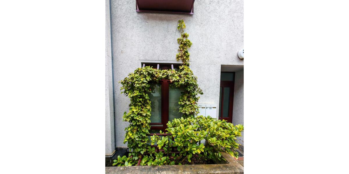 Etagenwohnung Braunschweig Lehndorf-Watenbüttel - 1 Zimmer, 36 m&sup2;, 115.000&euro; | Angebot:26612338