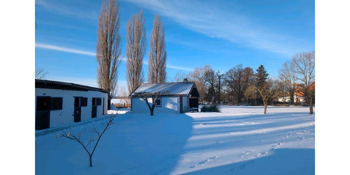 Mehrfamilienhaus, Wohnhaus Salzgitter Ortschaft Nord - 44 Zimmer, 400 m&sup2;, 670.000&euro; | Angebot:23512774