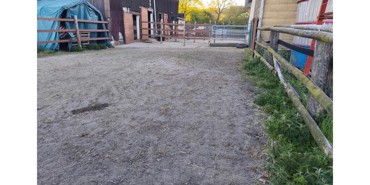 Etagenwohnung Königslutter am Elm - 5.5 Zimmer, 180 m&sup2;, 1.800&euro; | Angebot:26662514