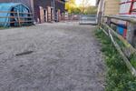 Etagenwohnung Königslutter am Elm - 5.5 Zimmer, 180 m&sup2;, 1.800&euro; | Angebot:26662514